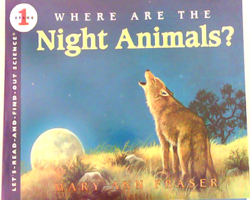 Where Are the Night Animals?